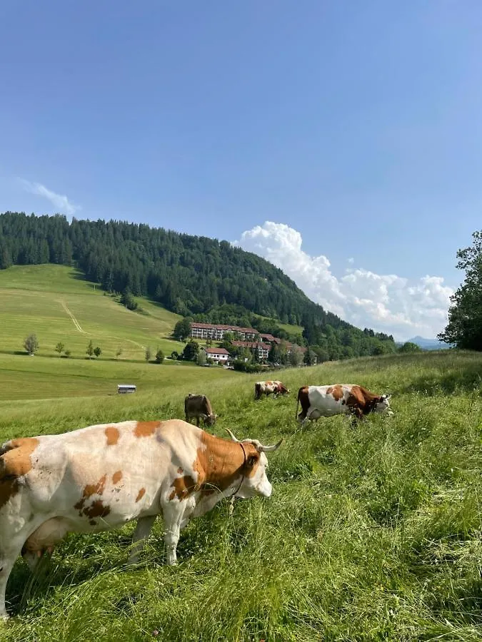 Ferienwohnung Oberallgaeu Ferienpark Mit Schwimmbad Missen-Wilhams Appartamento